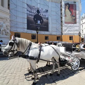 Apartamento Sobieski Stefansdom